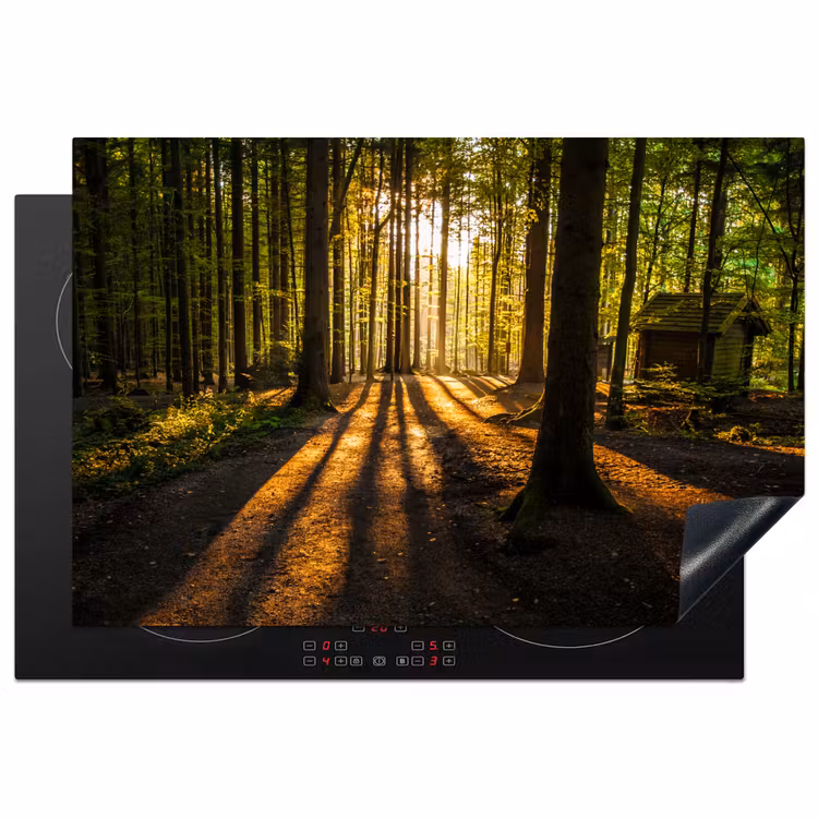 Inductie beschermer - Zon - Bomen - Bos - Landschap - Natuur — 1
