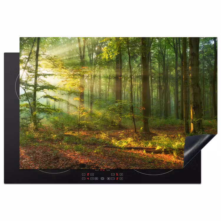 Inductie beschermer - Zon - Bos - Bomen - Natuur - Herfst — 1