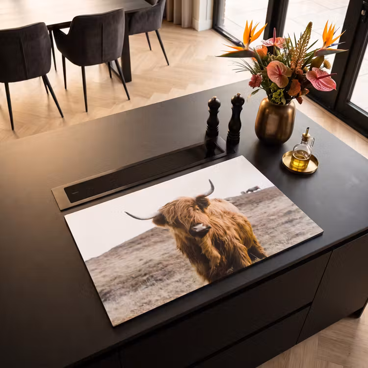 Inductie beschermer - Wachter van de Hooglanden — 3