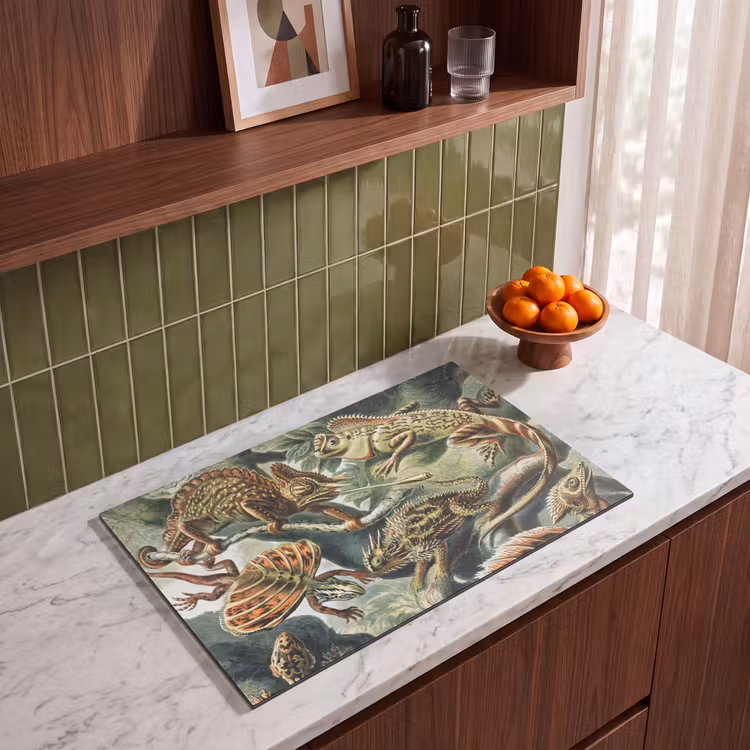 Inductie beschermer - Vintage - Kunst - Ernst Haeckel - Salamanders - Dieren — 4