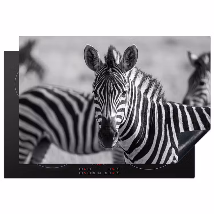 Inductie beschermer - Zebra's - Zwart - Wit — 2
