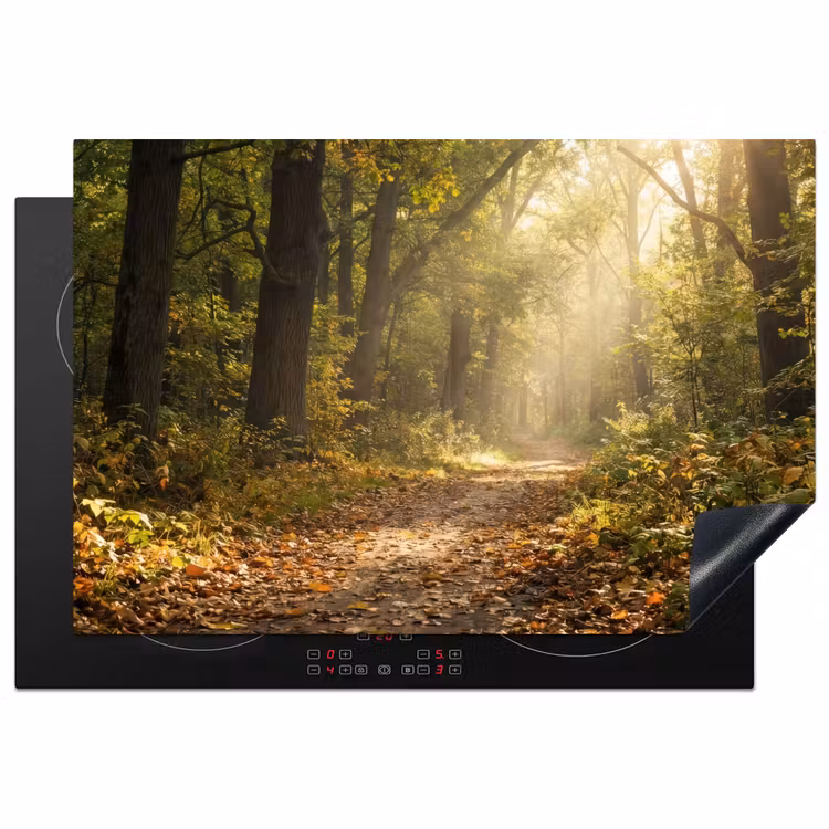 Inductie beschermer - Zonlicht - Bospad - Bomen — 2