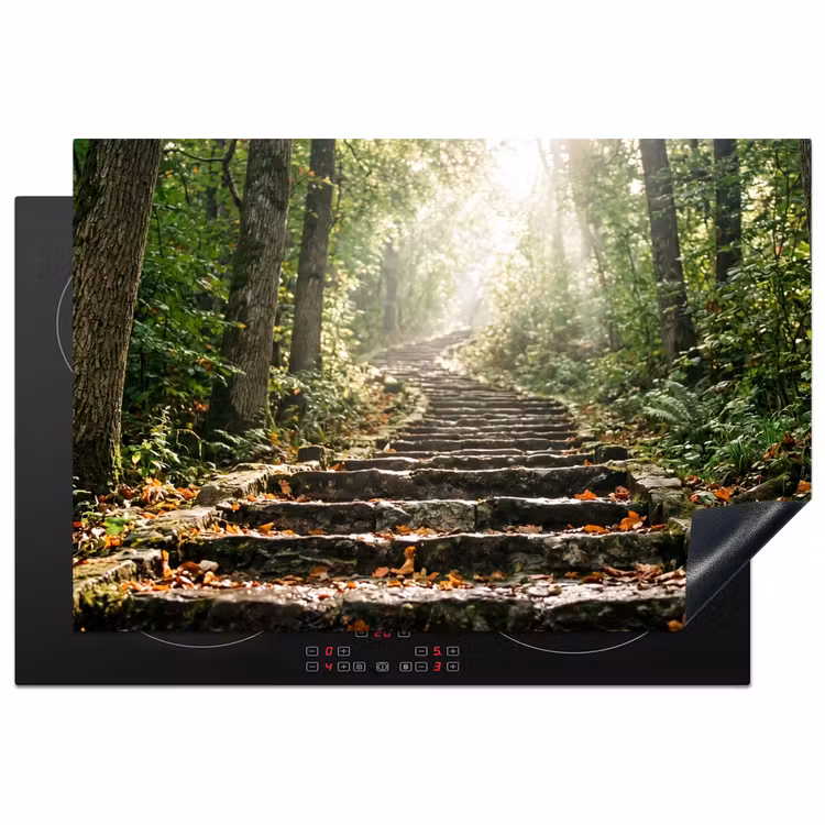 Inductie beschermer - Stenen - Trap - Bos - Natuur — 2