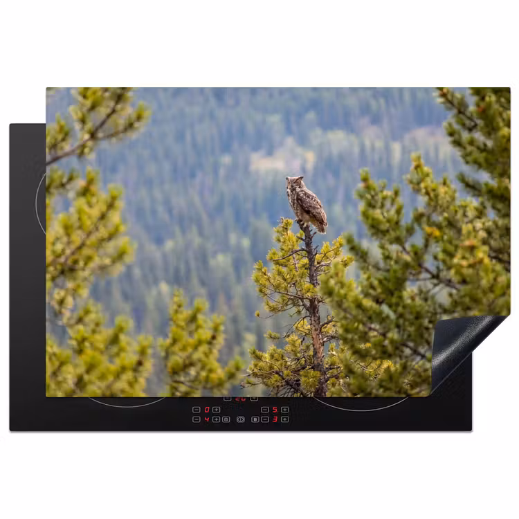 Inductie beschermer - Uil - Oehoe - Bomen - Natuur — 2