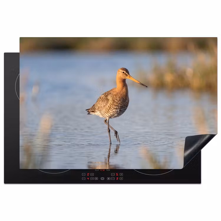 Inductie beschermer - Vogel - Steltloper - Water - Natuur — 2