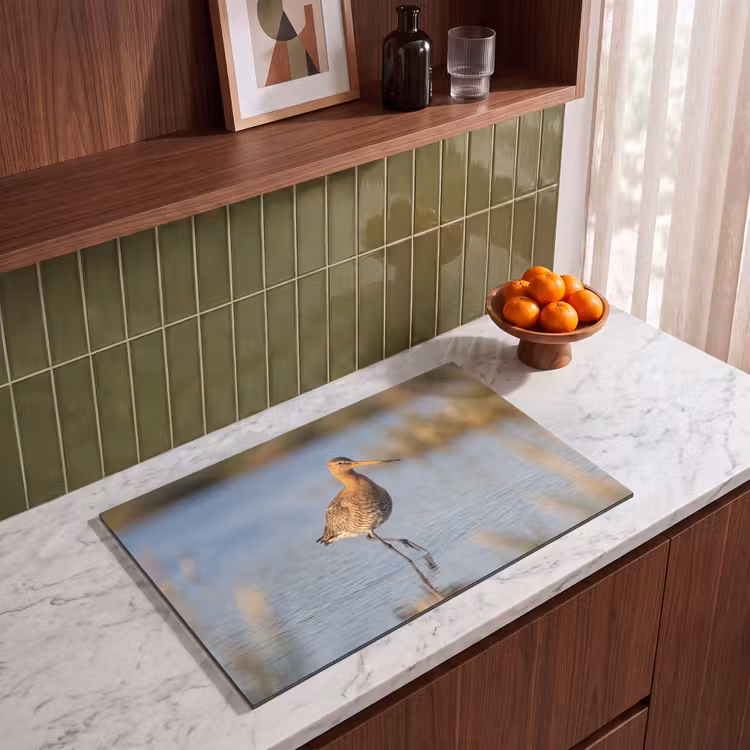 Inductie beschermer - Vogel - Steltloper - Water - Natuur — 4