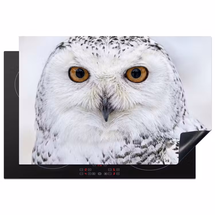 Inductie beschermer - Sneeuwuil - Oog - Wildlife - Wit — 2