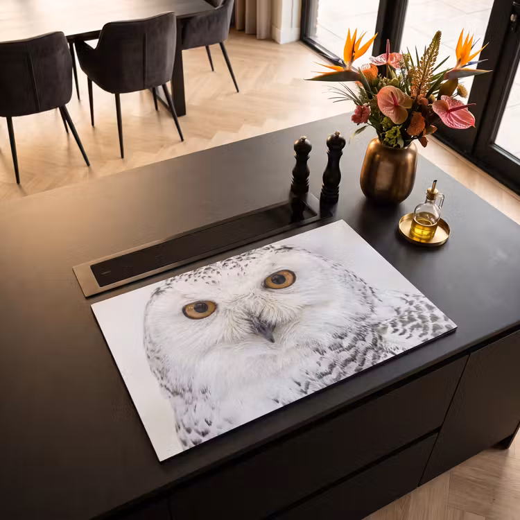 Inductie beschermer - Sneeuwuil - Oog - Wildlife - Wit — 3