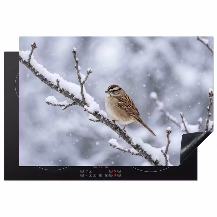 Inductie beschermer - Vogel - Tak - Sneeuw - Winter — 2