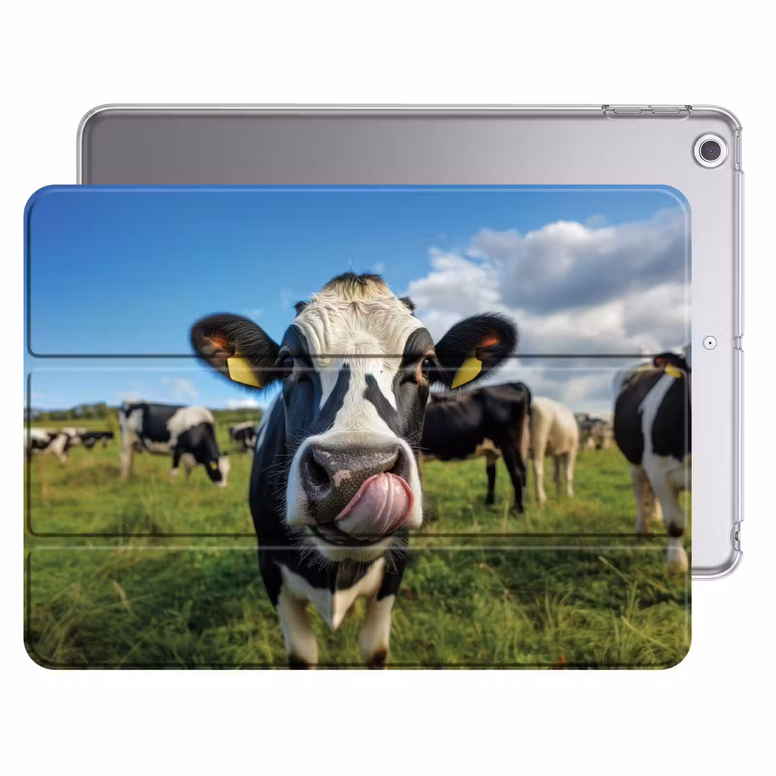 iPad hoes - Koe - Tong - Weide — 1