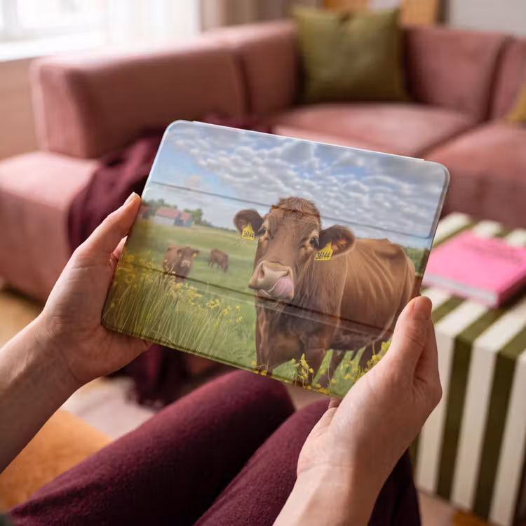 iPad hoes - Koe - Weide - Bloemen — 3