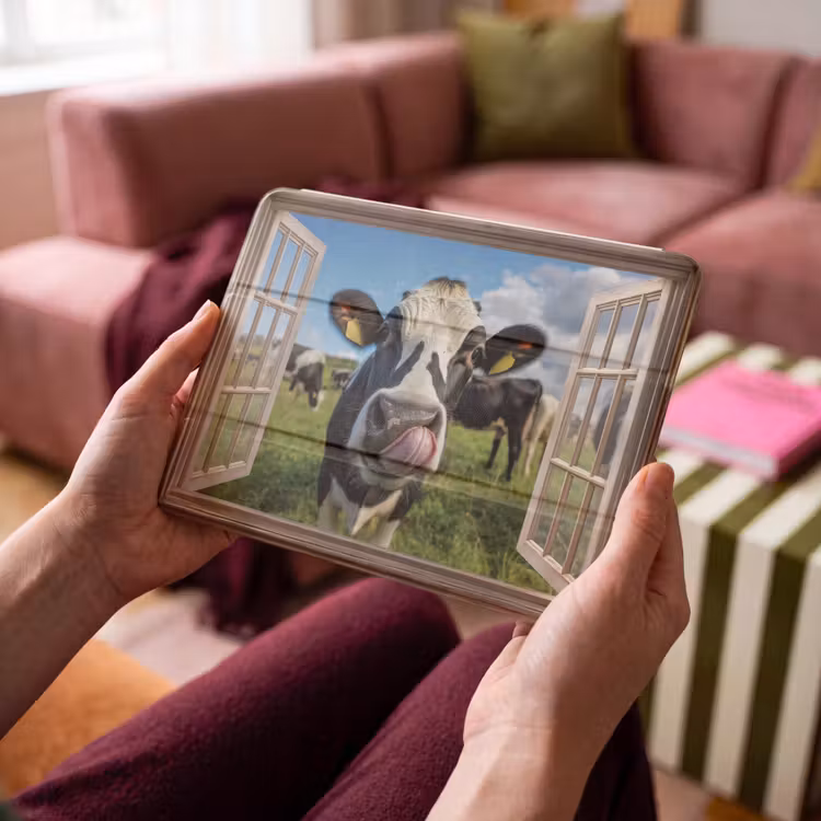 iPad hoes - Doorkijk - Koe - Weiland - Dieren - Natuur — 3