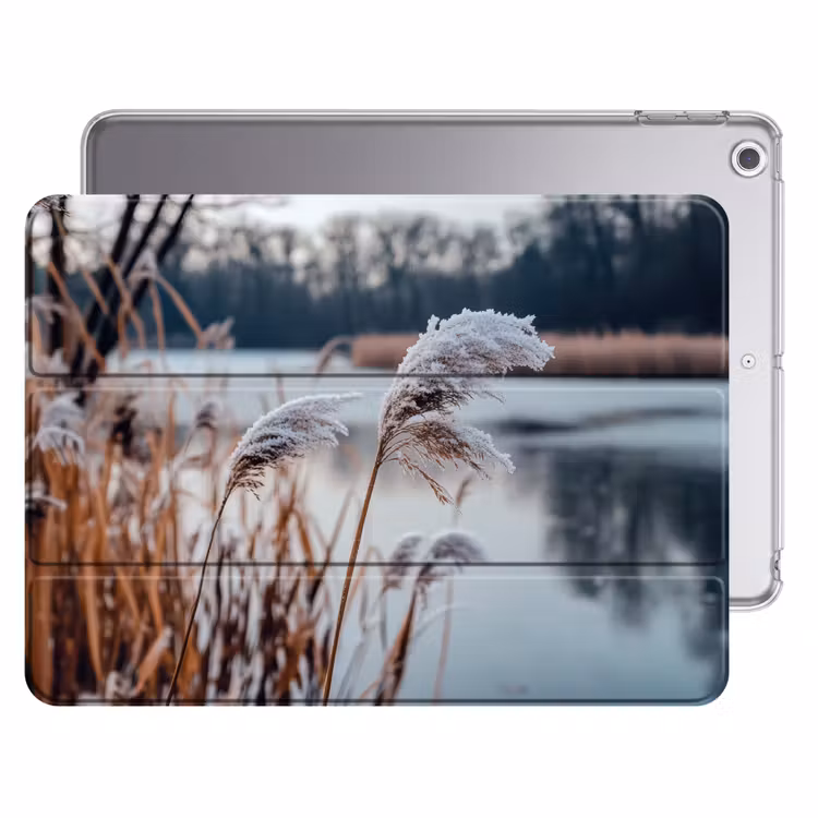 iPad hoes - Riet - Gras - Natuur - Winter - Meer — 1