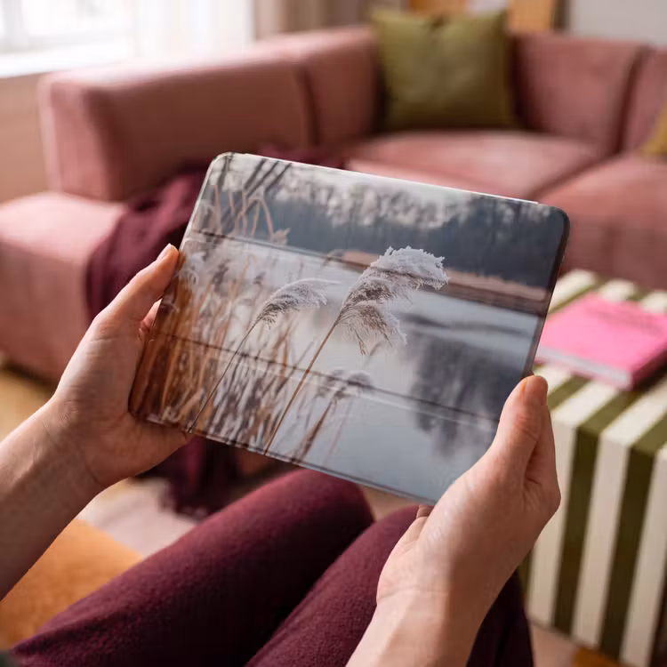 iPad hoes - Riet - Gras - Natuur - Winter - Meer — 3