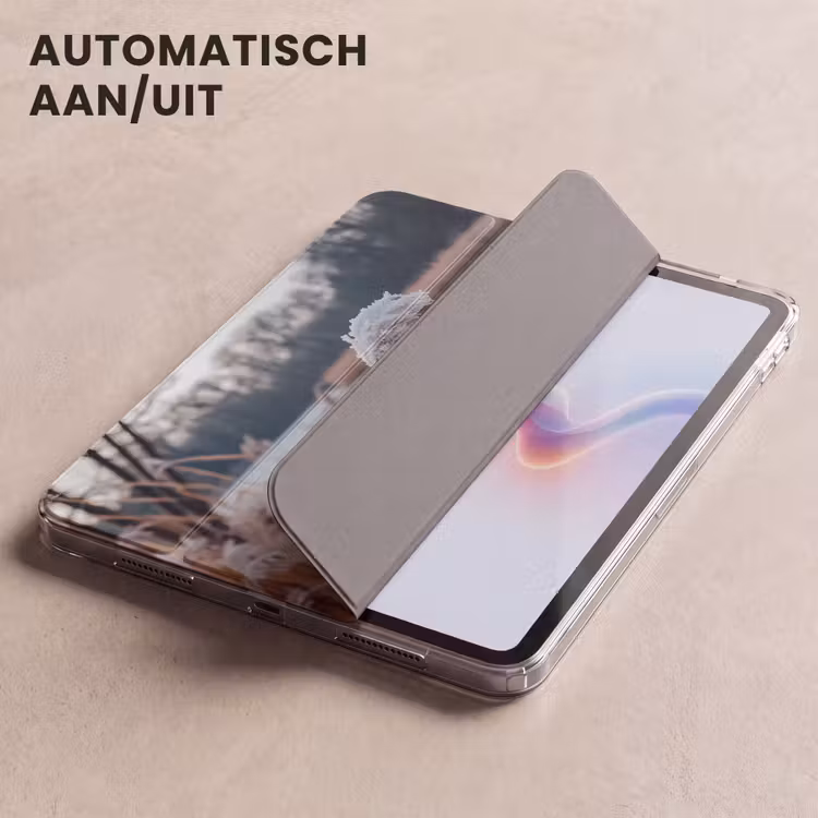 iPad hoes - Riet - Gras - Natuur - Winter - Meer — 4
