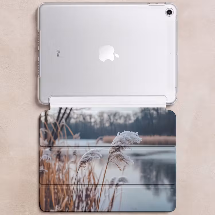 iPad hoes - Riet - Gras - Natuur - Winter - Meer — 6
