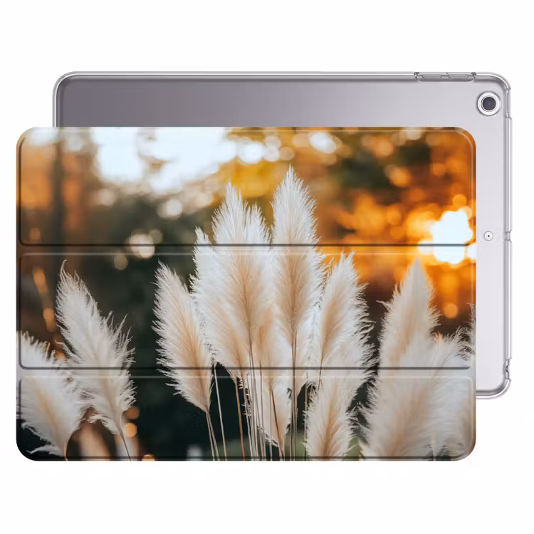 iPad hoes - Pampasgras - Pluimen - Sierlijk — 1