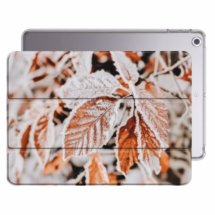 iPad hoes - Bladeren - IJs - Winter - Natuur — 1