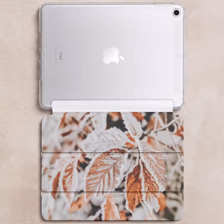 iPad hoes - Bladeren - IJs - Winter - Natuur — 6