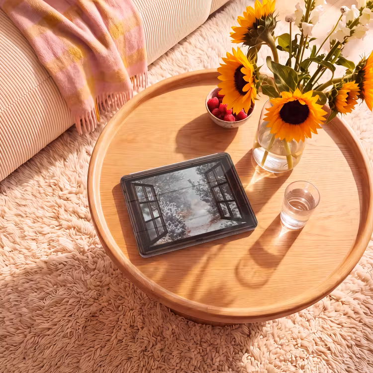 iPad hoes - Bos - Winter - Bomen - Natuur - Pad - Doorkijk — 2