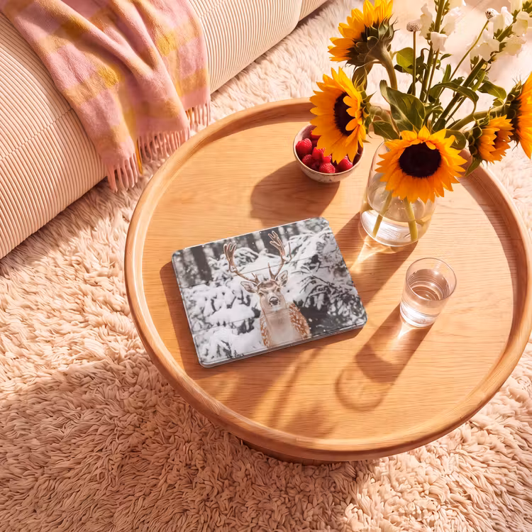iPad hoes - Hert - Sneeuw - Winter - Bos - Dieren — 2