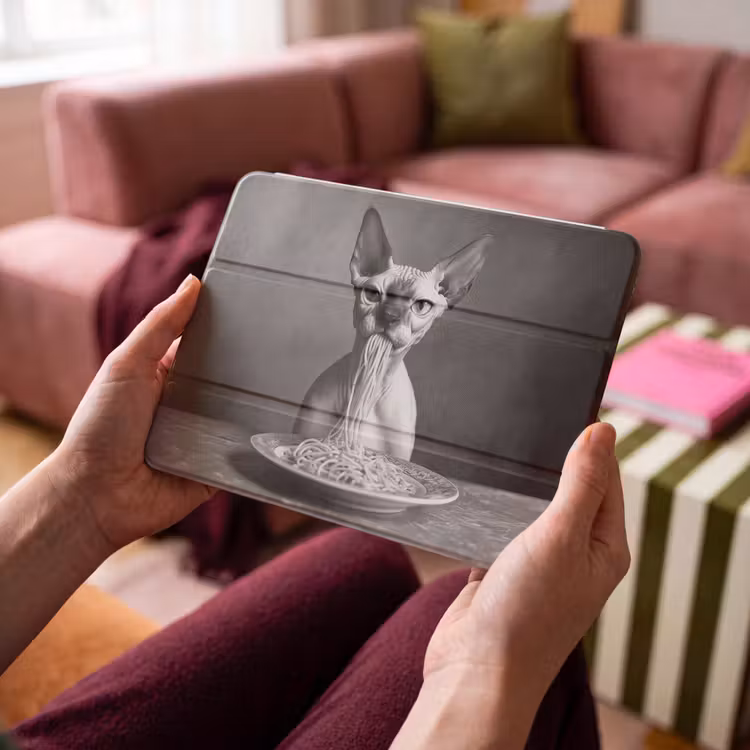 iPad hoes - Sphynx - Kat - Dieren - Humor - Spaghetti - Zwart Wit — 3