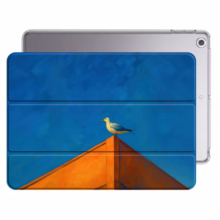 iPad hoes - Meeuw - Gebouw - Lucht - Geschilderd — 1
