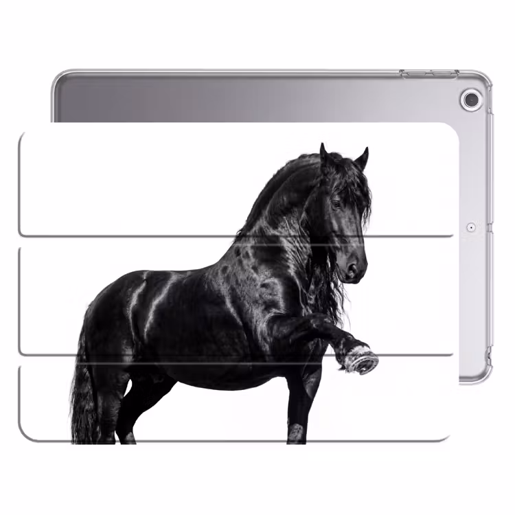 iPad hoes - Fries - Hengst - Modern — 1