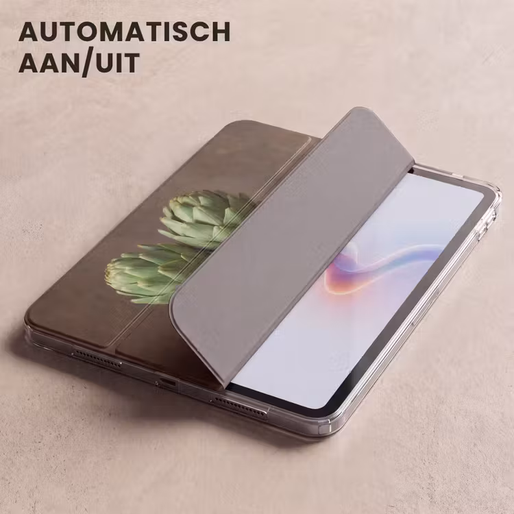 iPad hoes - Artisjokken - Olijven - Eten — 4