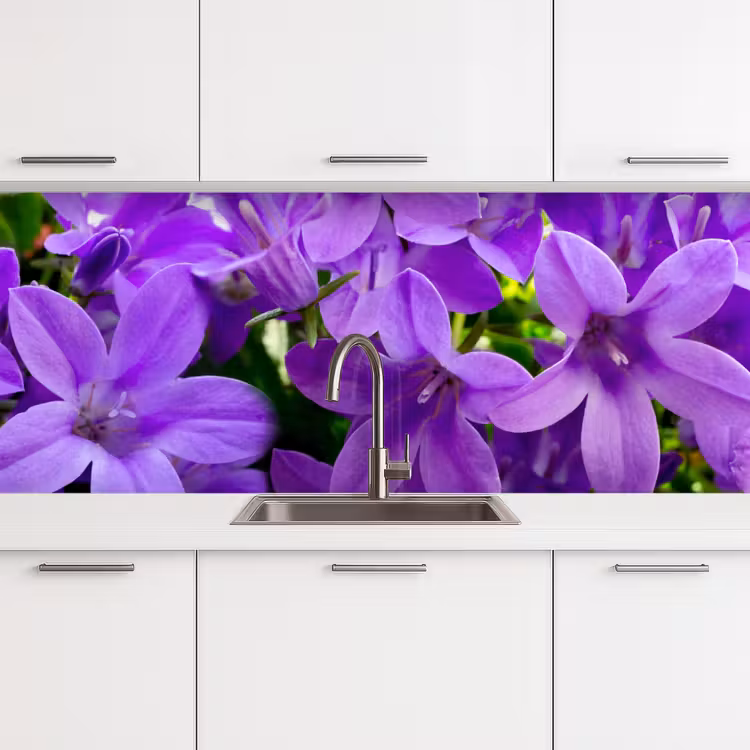 Keuken achterwand - Bloemen - Paars - Natuur — 4