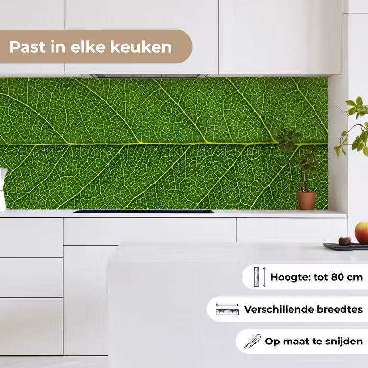 Keuken achterwand - Natuur - Blad - Groen — 7