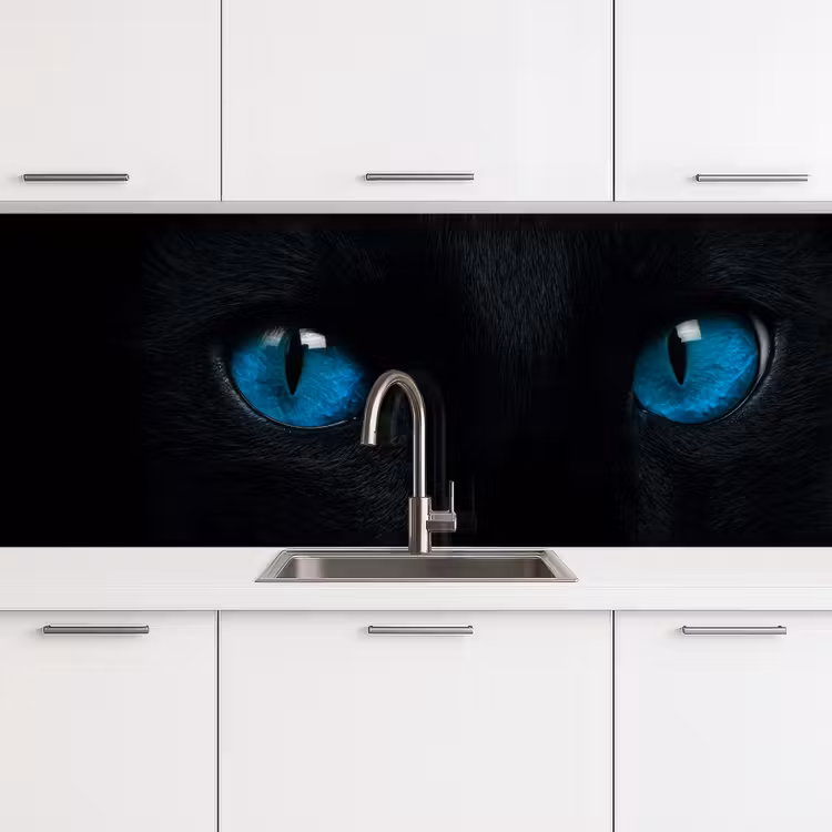 Keuken achterwand - Kat - Blauw - Dier - Zwart — 4
