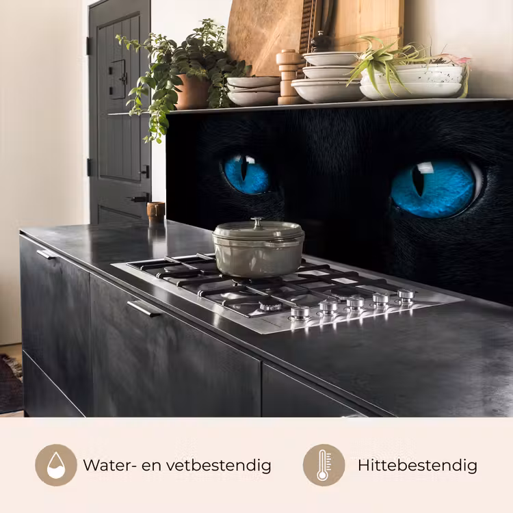 Keuken achterwand - Kat - Blauw - Dier - Zwart — 5