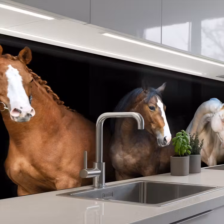 Keuken achterwand - Paard - Dieren - Zwart — 2