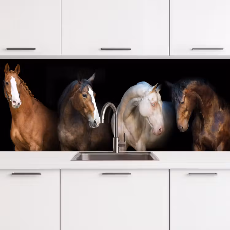 Keuken achterwand - Paard - Dieren - Zwart — 4