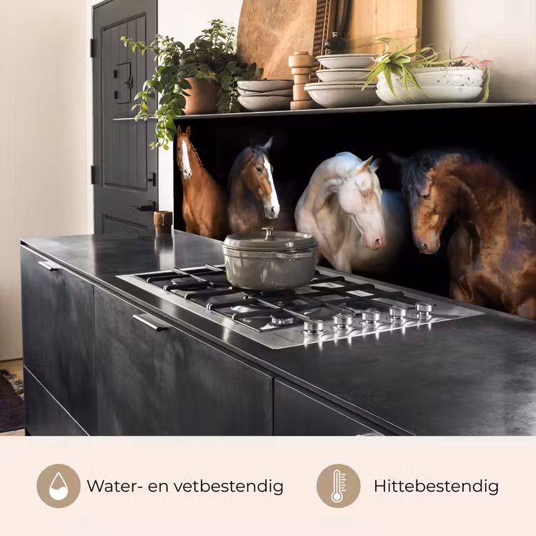 Keuken achterwand - Paard - Dieren - Zwart — 5
