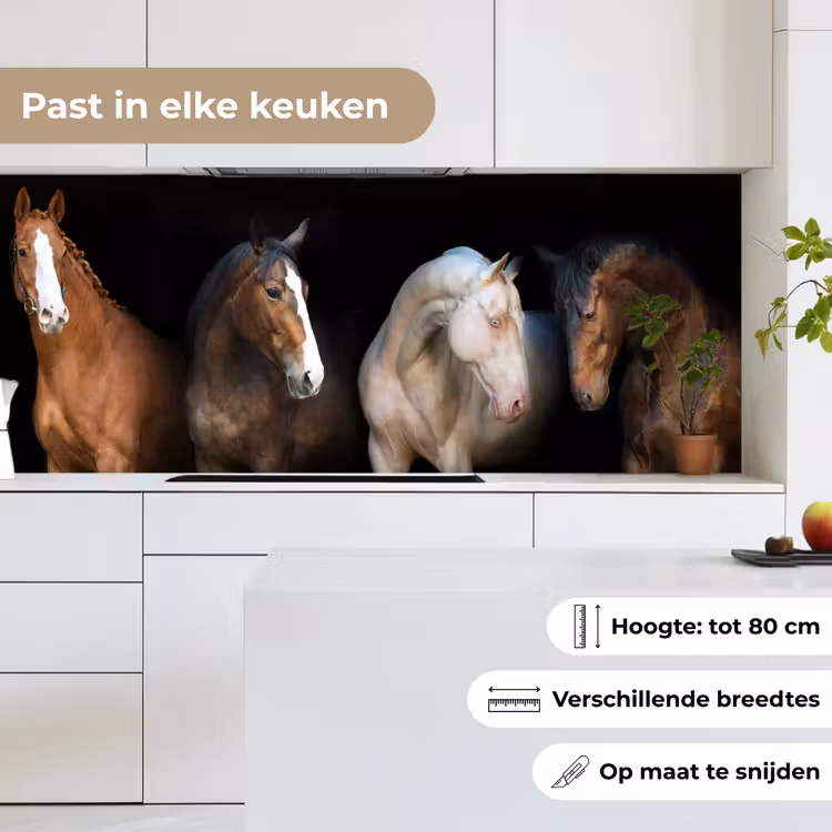 Keuken achterwand - Paard - Dieren - Zwart — 7