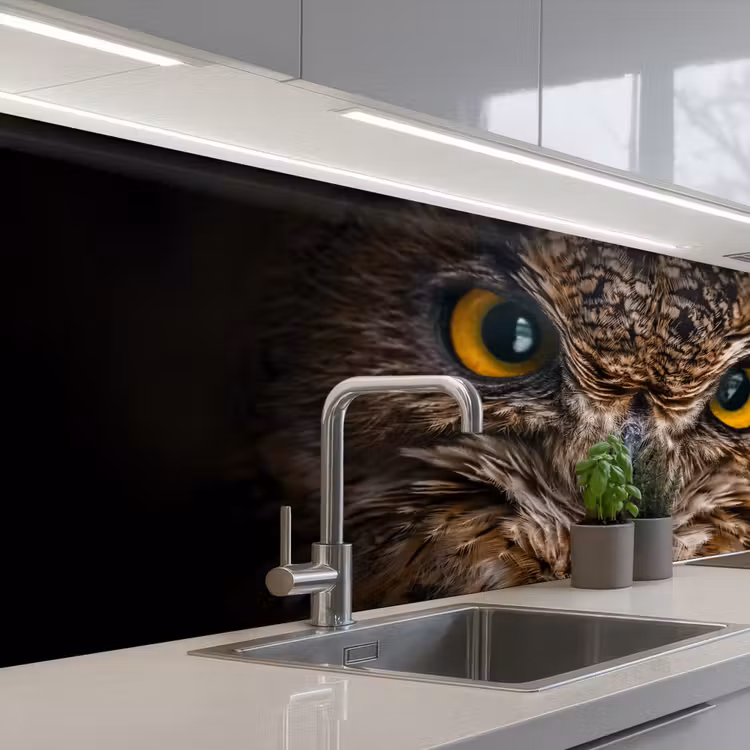Keuken achterwand - Uil - Dier - Oranje — 2