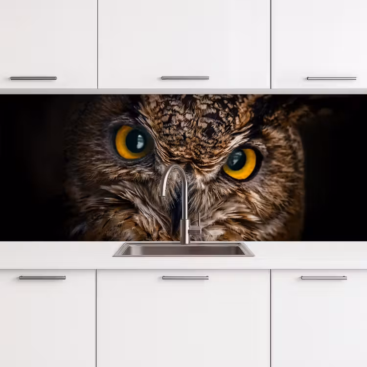 Keuken achterwand - Uil - Dier - Oranje — 4