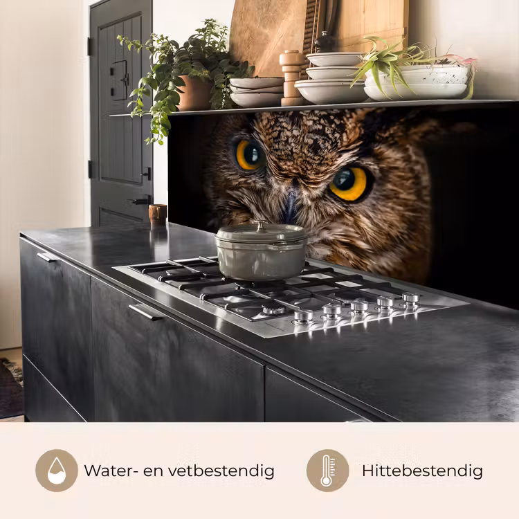 Keuken achterwand - Uil - Dier - Oranje — 5