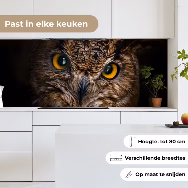 Keuken achterwand - Uil - Dier - Oranje — 7