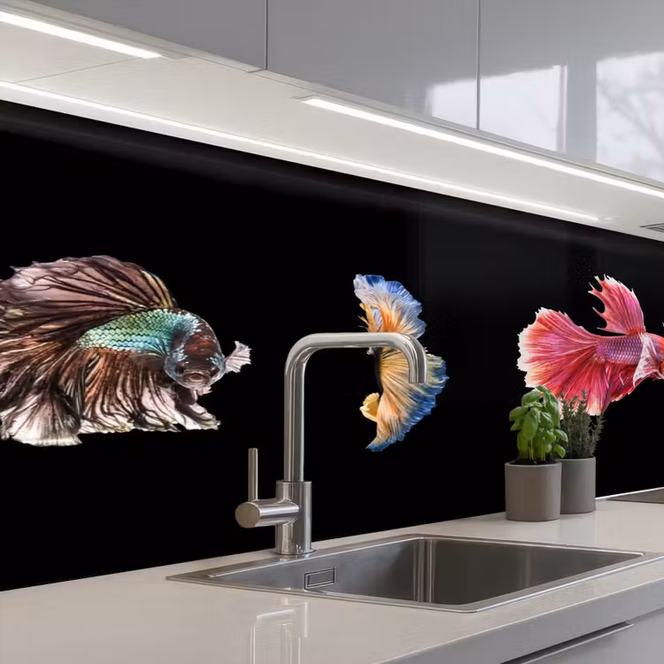 Keuken achterwand - Vissen - Kleurrijk - Dieren — 2
