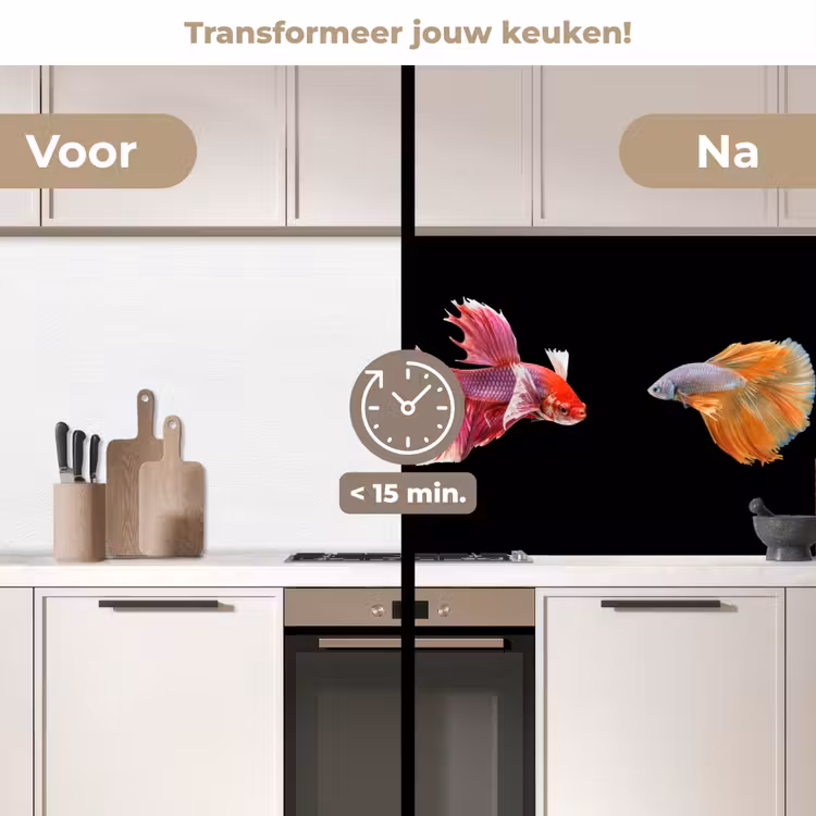 Keuken achterwand - Vissen - Kleurrijk - Dieren — 3
