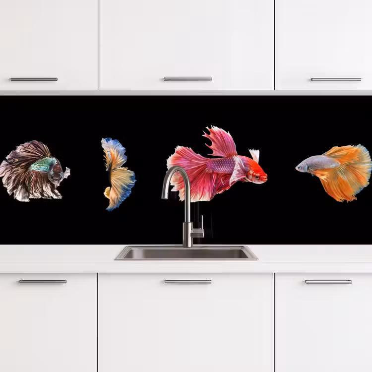 Keuken achterwand - Vissen - Kleurrijk - Dieren — 4
