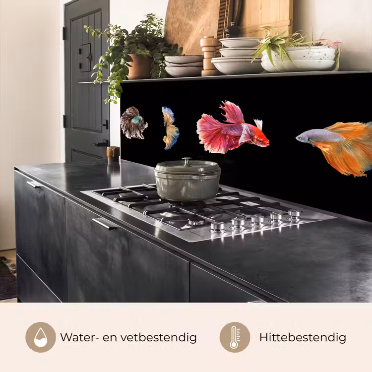 Keuken achterwand - Vissen - Kleurrijk - Dieren — 5