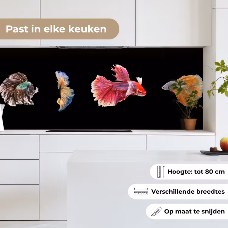Keuken achterwand - Vissen - Kleurrijk - Dieren — 7