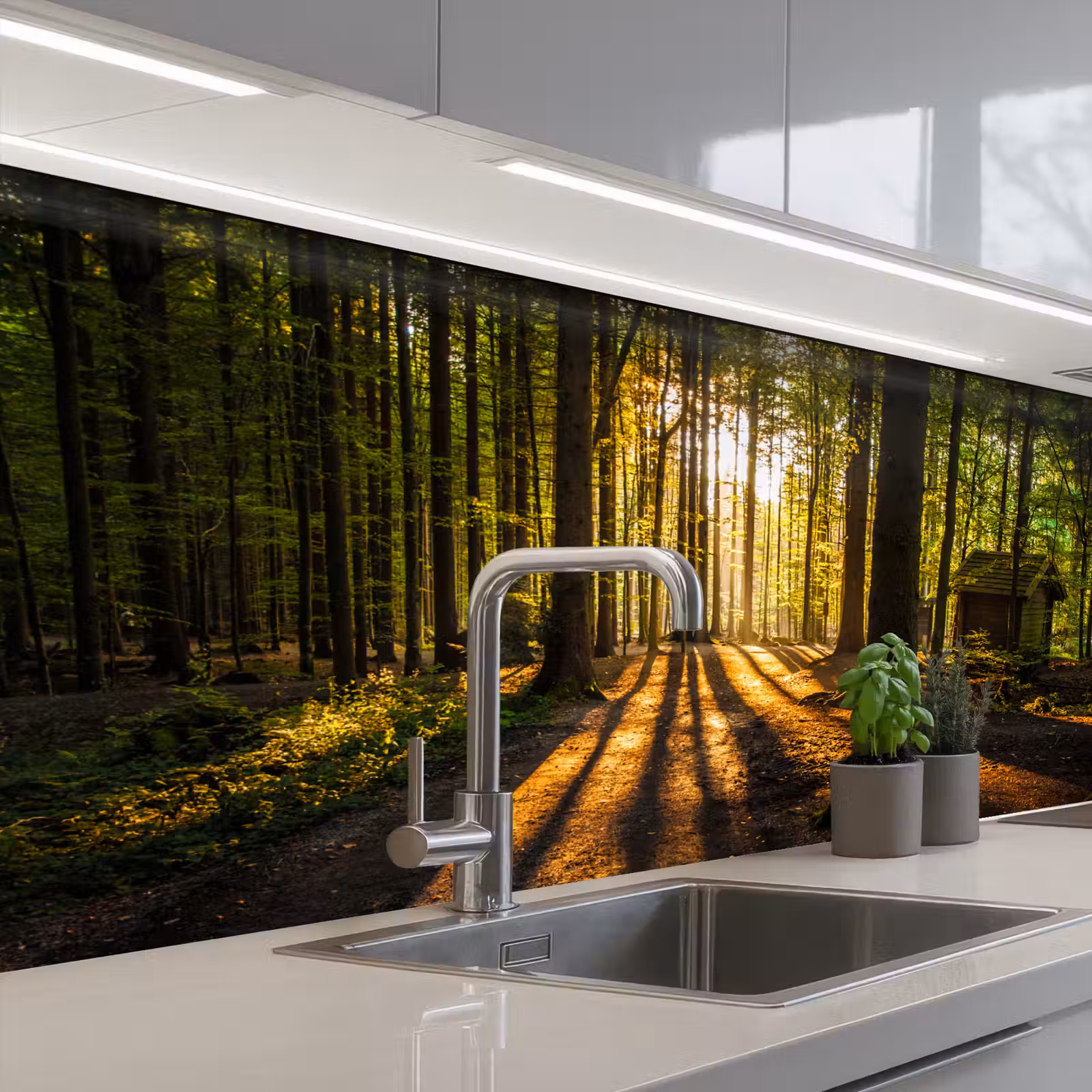 Keuken achterwand - Zon - Bomen - Bos - Landschap - Natuur — 1