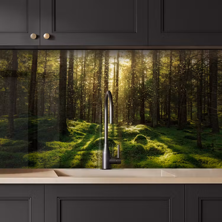 Keuken achterwand - Bomen - Bos - Mos - Planten - Zon - Natuur — 4
