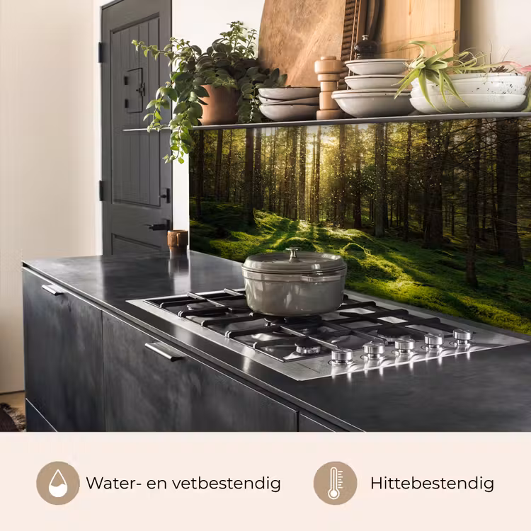 Keuken achterwand - Bomen - Bos - Mos - Planten - Zon - Natuur — 7