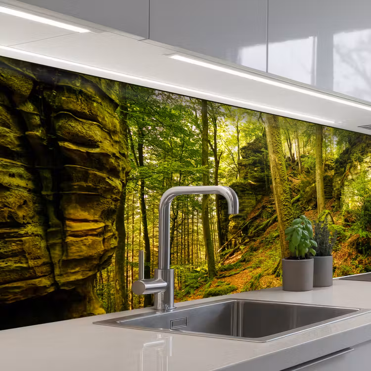 Keuken achterwand - Bomen - Steen - Bos - Natuur - Planten — 1